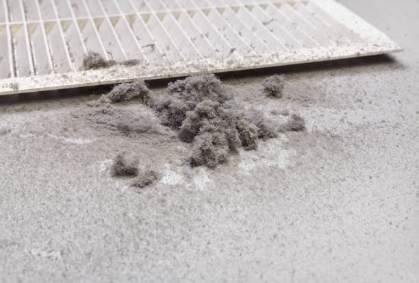 Best Professional Duct Cleaning Services  in Kinsey, AL