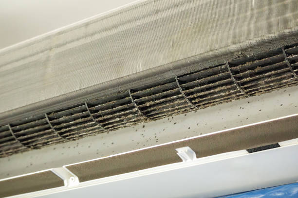 Best Commercial Air Duct Cleaning  in Kinsey, AL